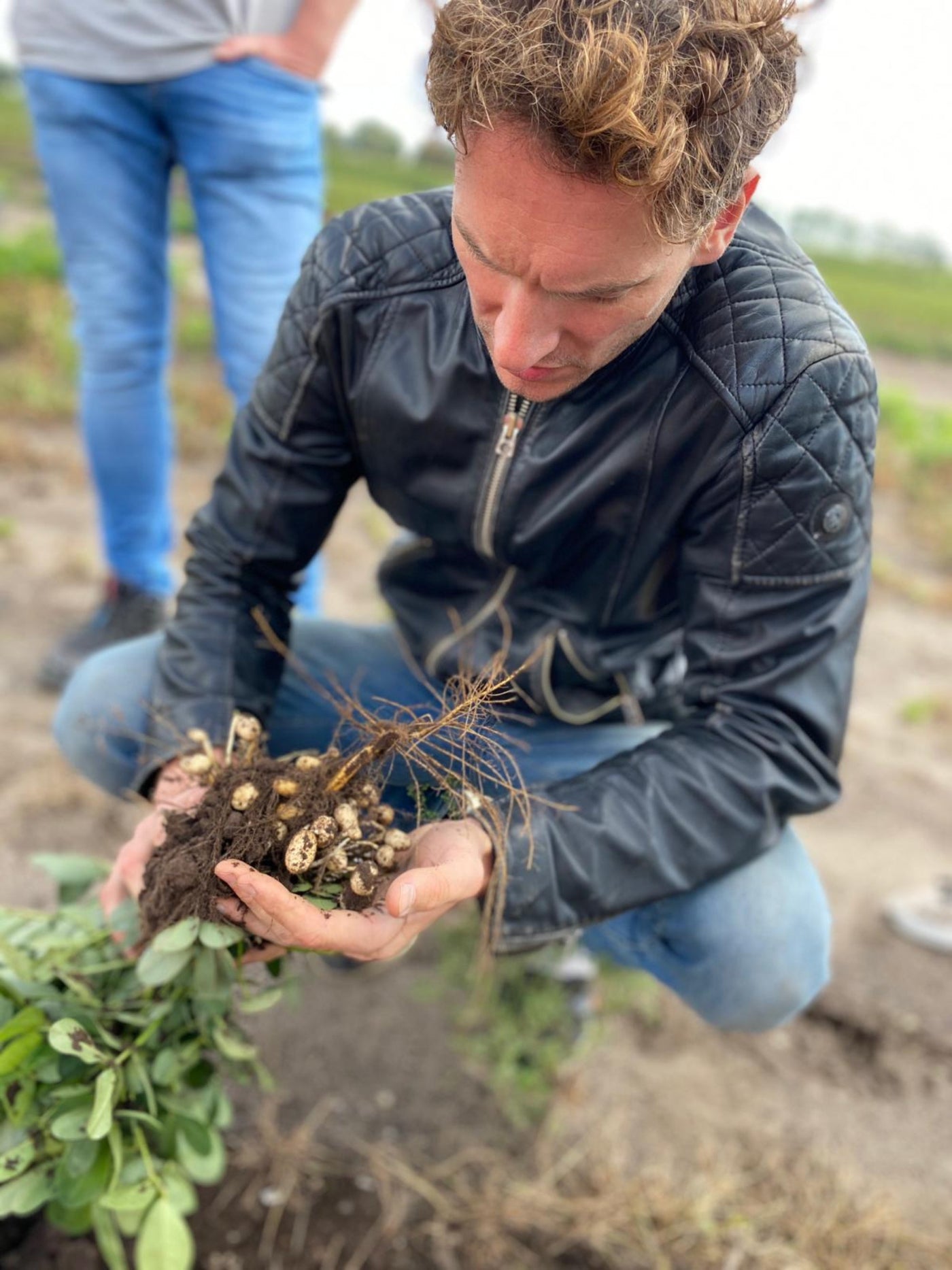 Peanut Day! A Tribute to Our Favorite Plant: The Peanut Plant.